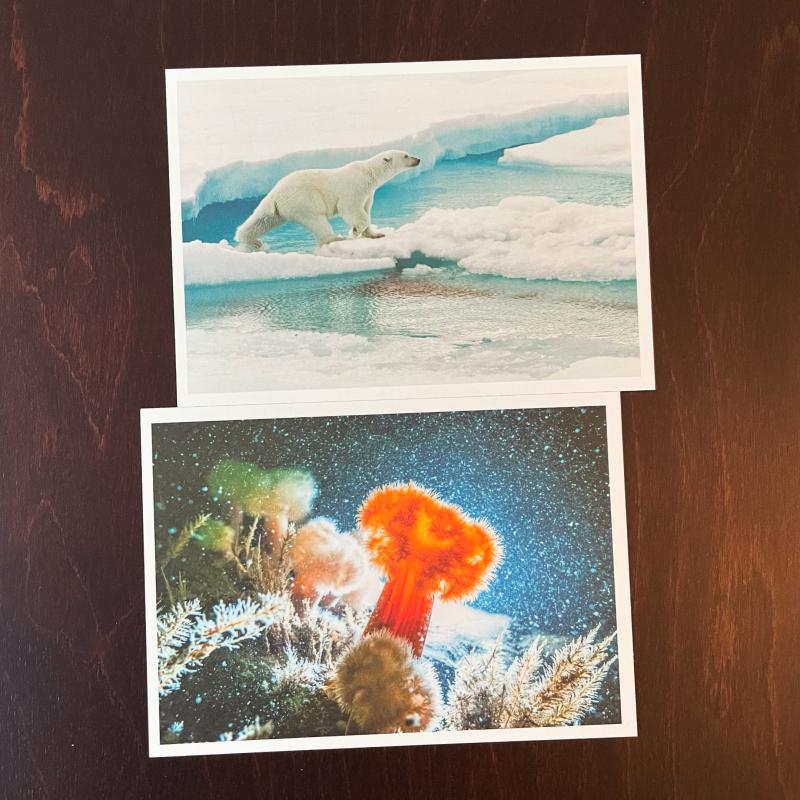 Two postcards from a Greepeace postcard set